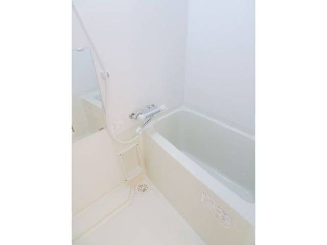 バス