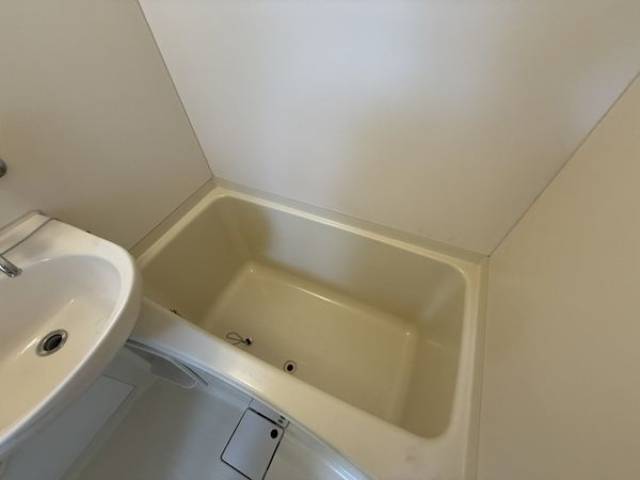 バス