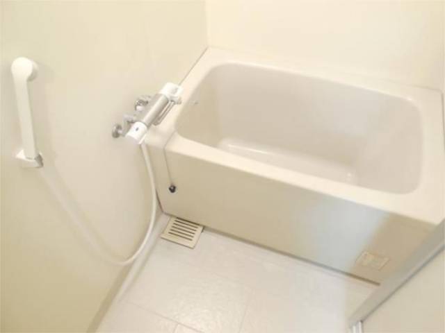 バス