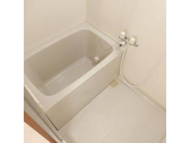 バス