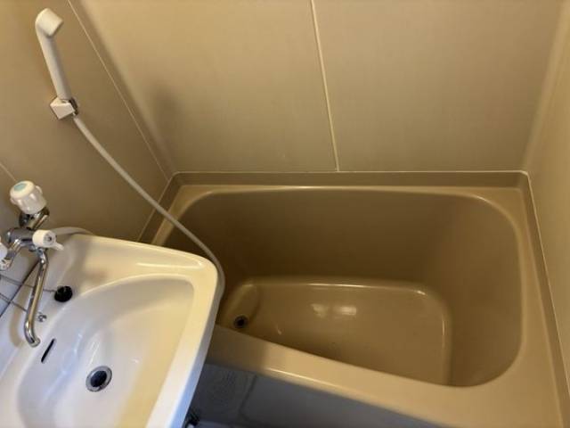バス