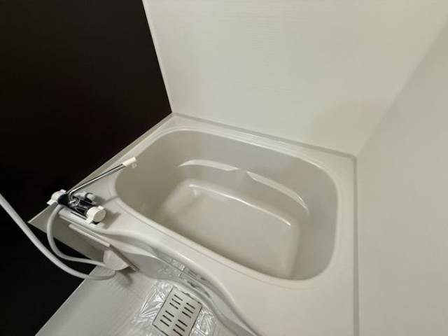 バス