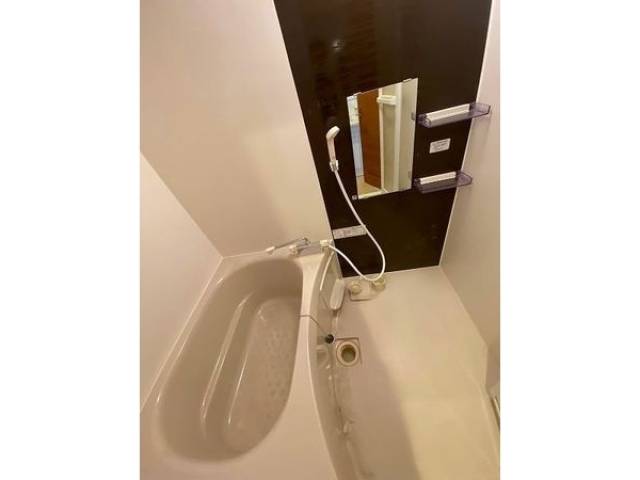 バス