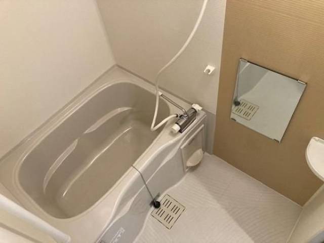 バス