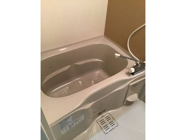 バス
