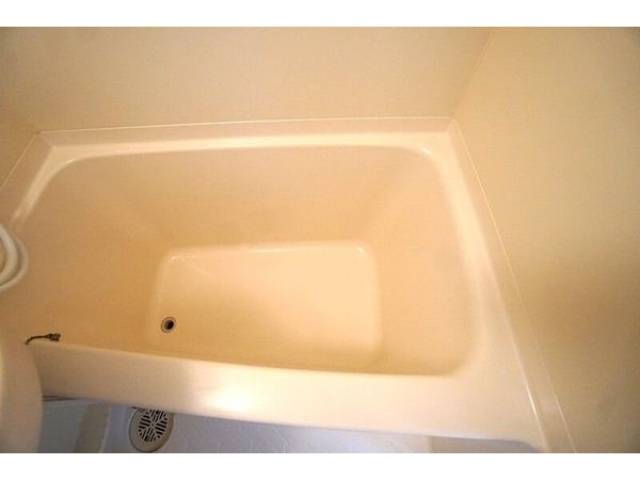 バス