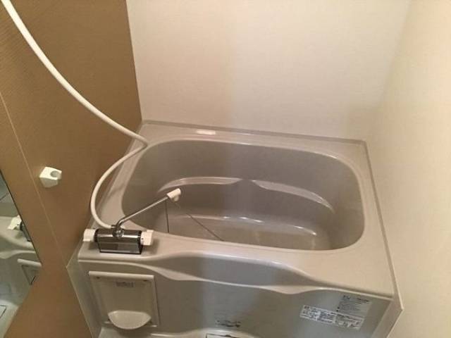 バス