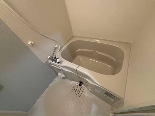 バス