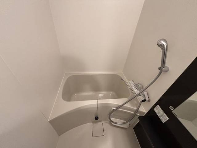 バス