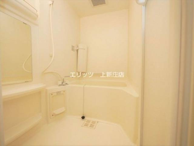 バス