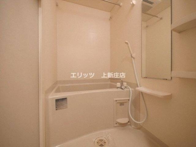 バス