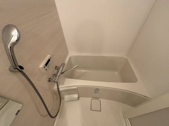 バス
