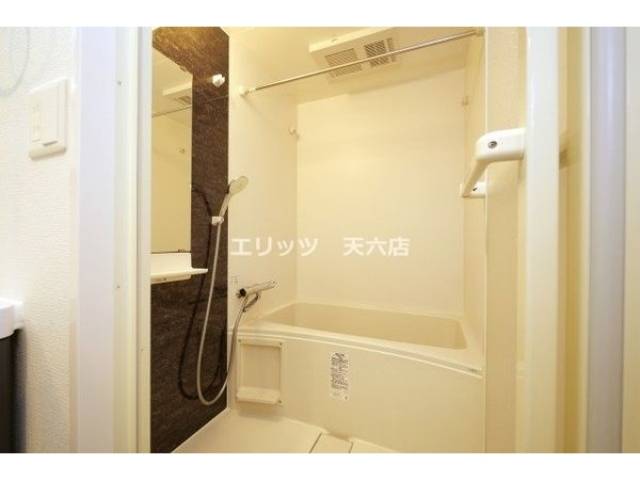 バス