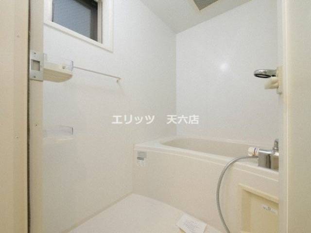 バス