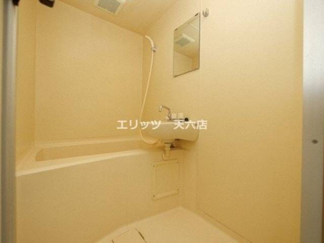 バス