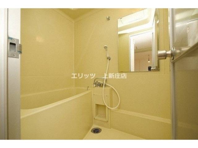 バス