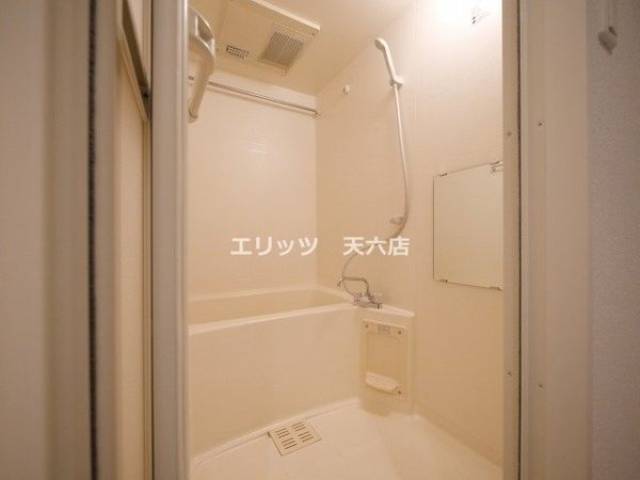 バス