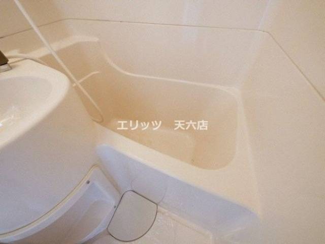 バス