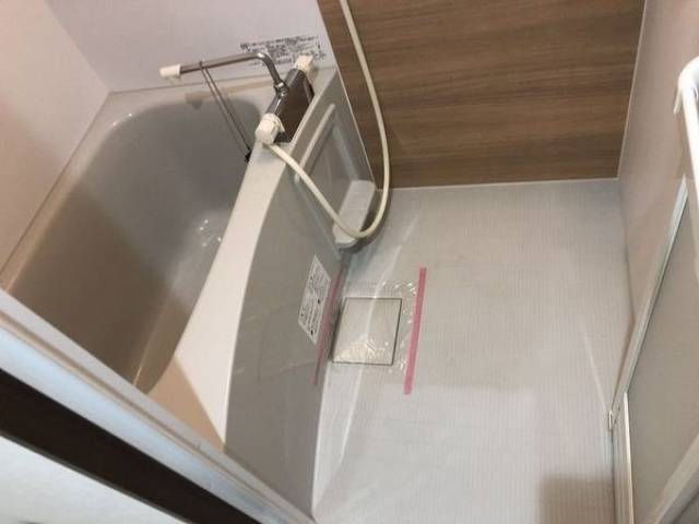 バス