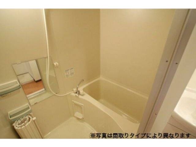 バス