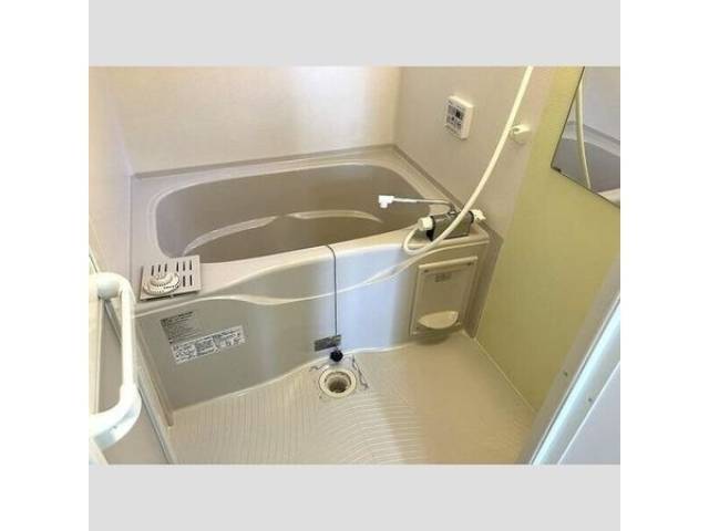 バス