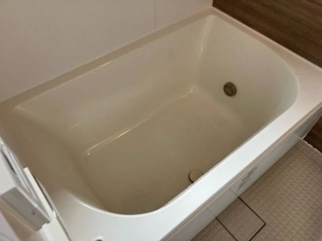 バス