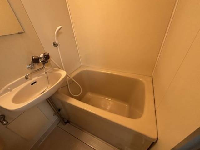 バス