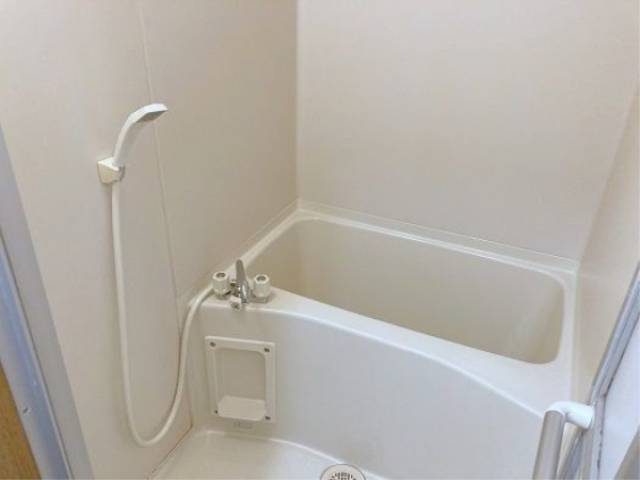 バス