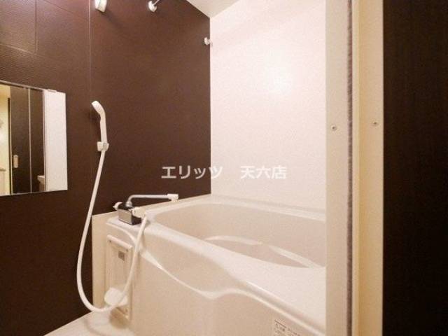 バス