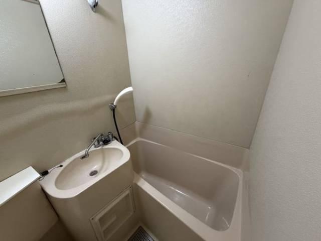 バス