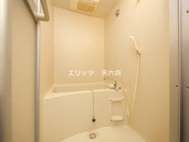 バス
