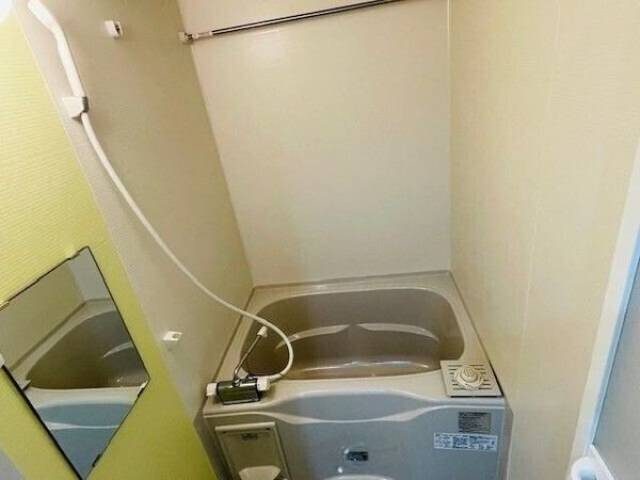 バス