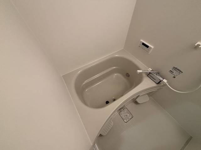 バス