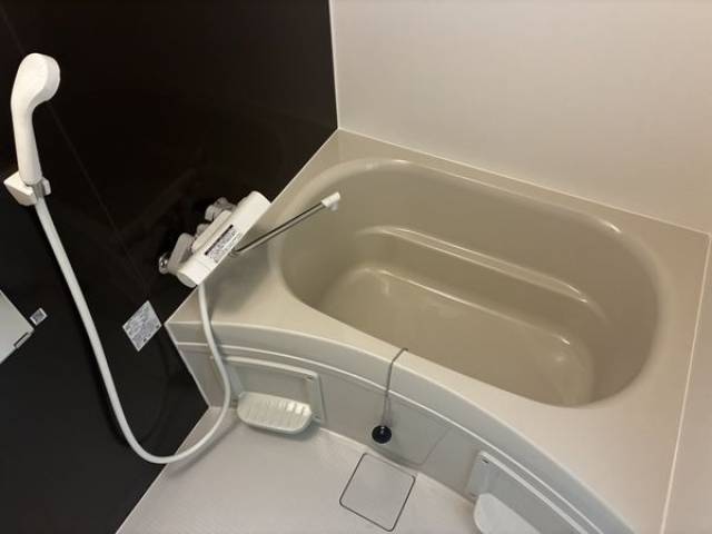 バス