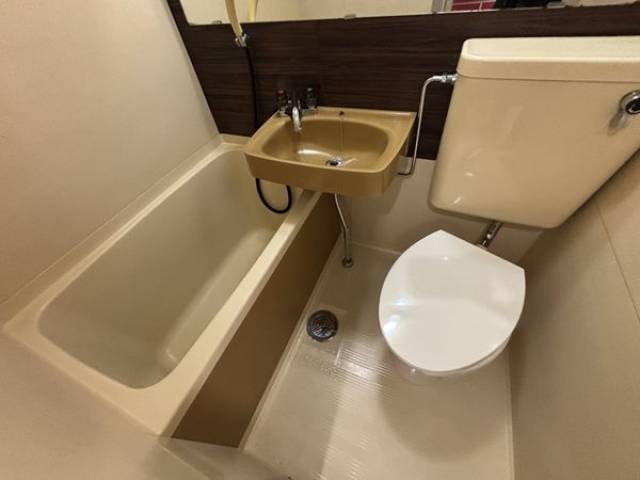 バス