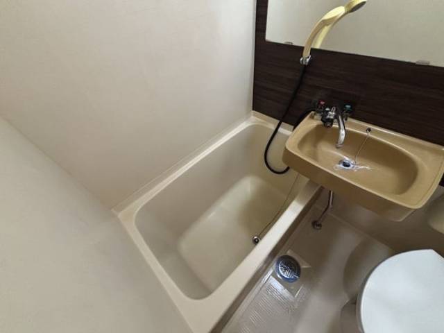 バス