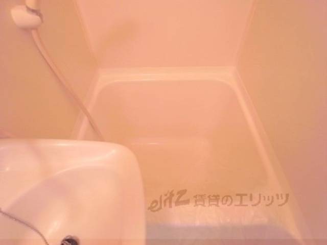 バス
