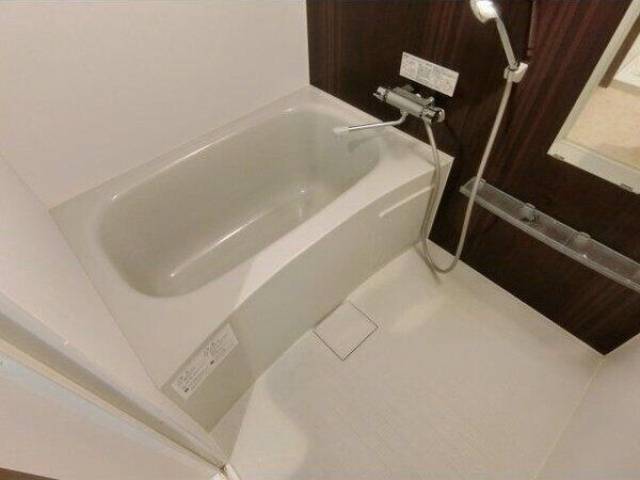 バス