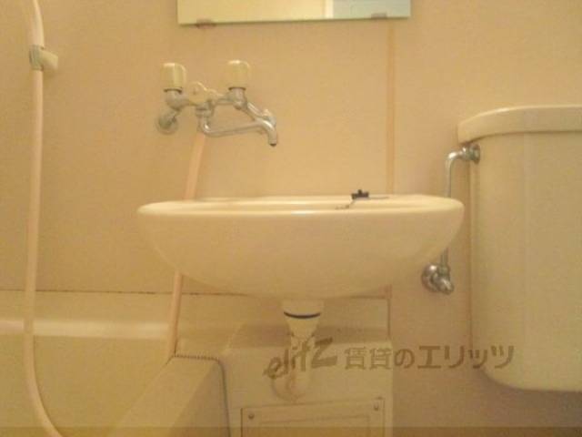 バス
