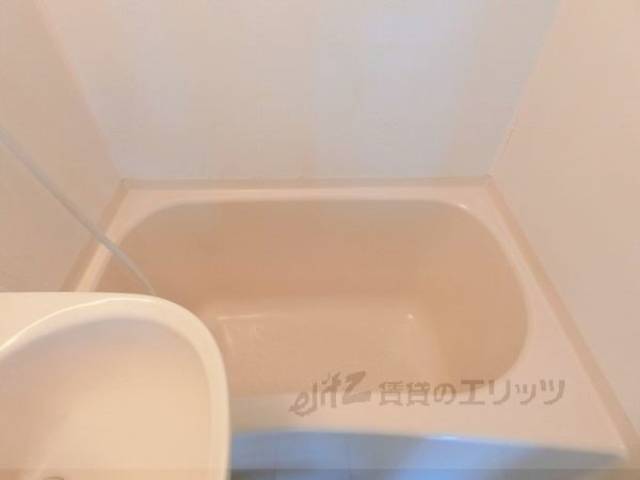 バス