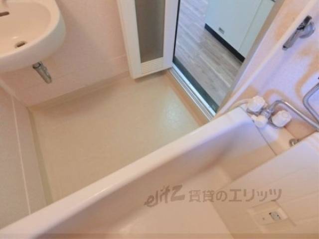 バス