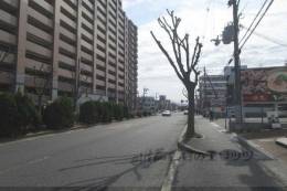 光マンション室内写真1