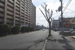 光マンション室内写真1