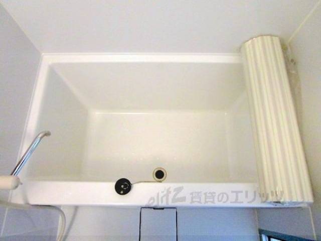 バス