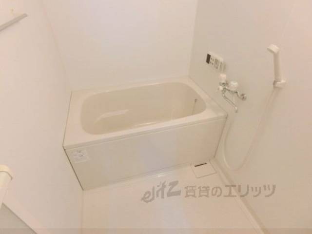 バス