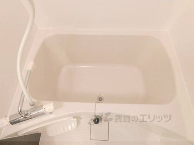 バス