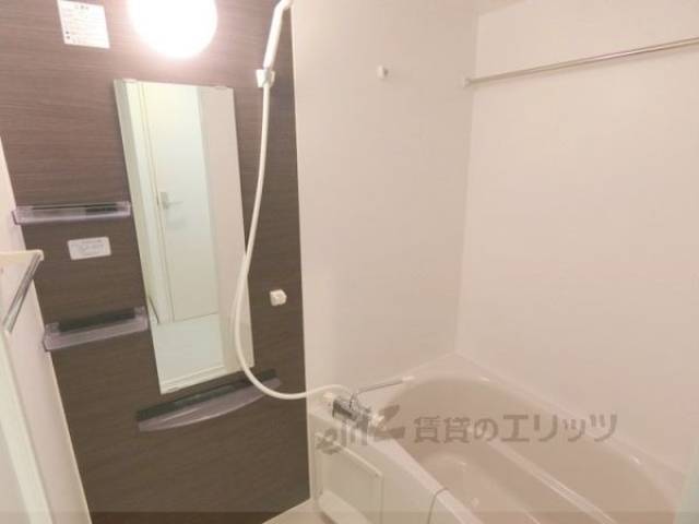 バス