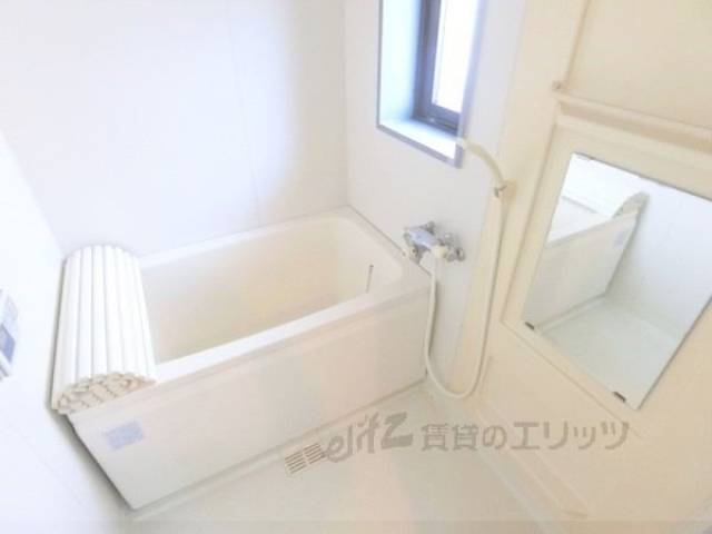 バス