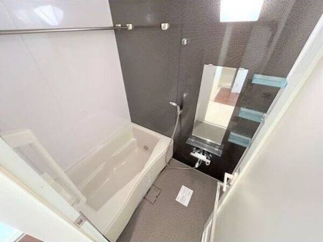 バス