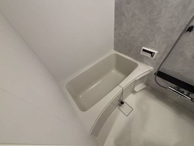 バス